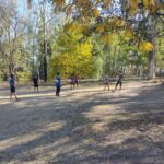 486611274_1257985596327608_8851350885578557297_n